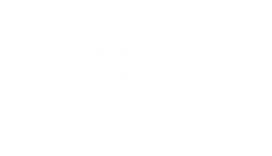 Red Planet DAO corporate logo white